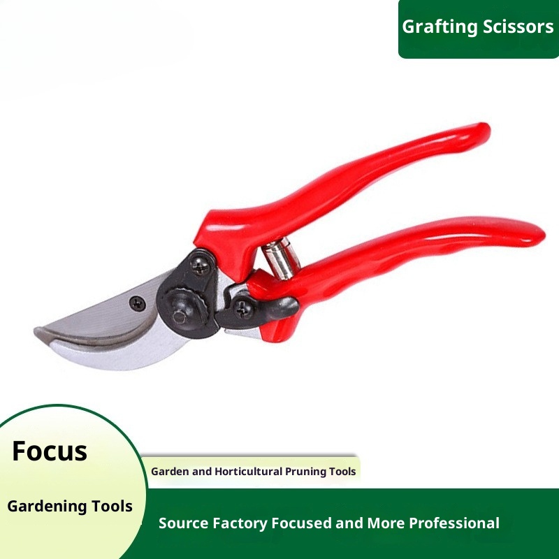 Gardening Tools Quality - กรรไกรตัดแต่งกิ่งคุณภาพพรีเมียม นำเข้าจากต่างประเทศ สำหรับสวน บอนไซ ใช้ในครัวเรือน ขายส่ง