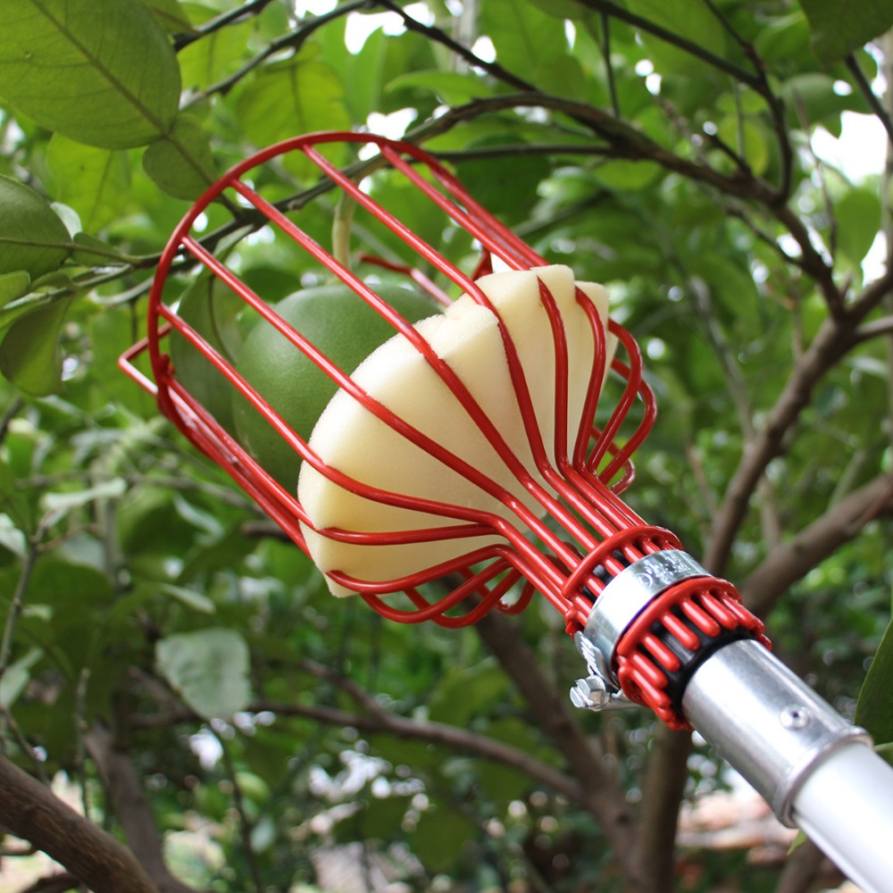 Gardening Tools Hand - หัวเก็บผลไม้โลหะ/พลาสติก ไม่มีด้าม สำหรับเก็บผลไม้ เช่น แอปเปิ้ล ส้ม