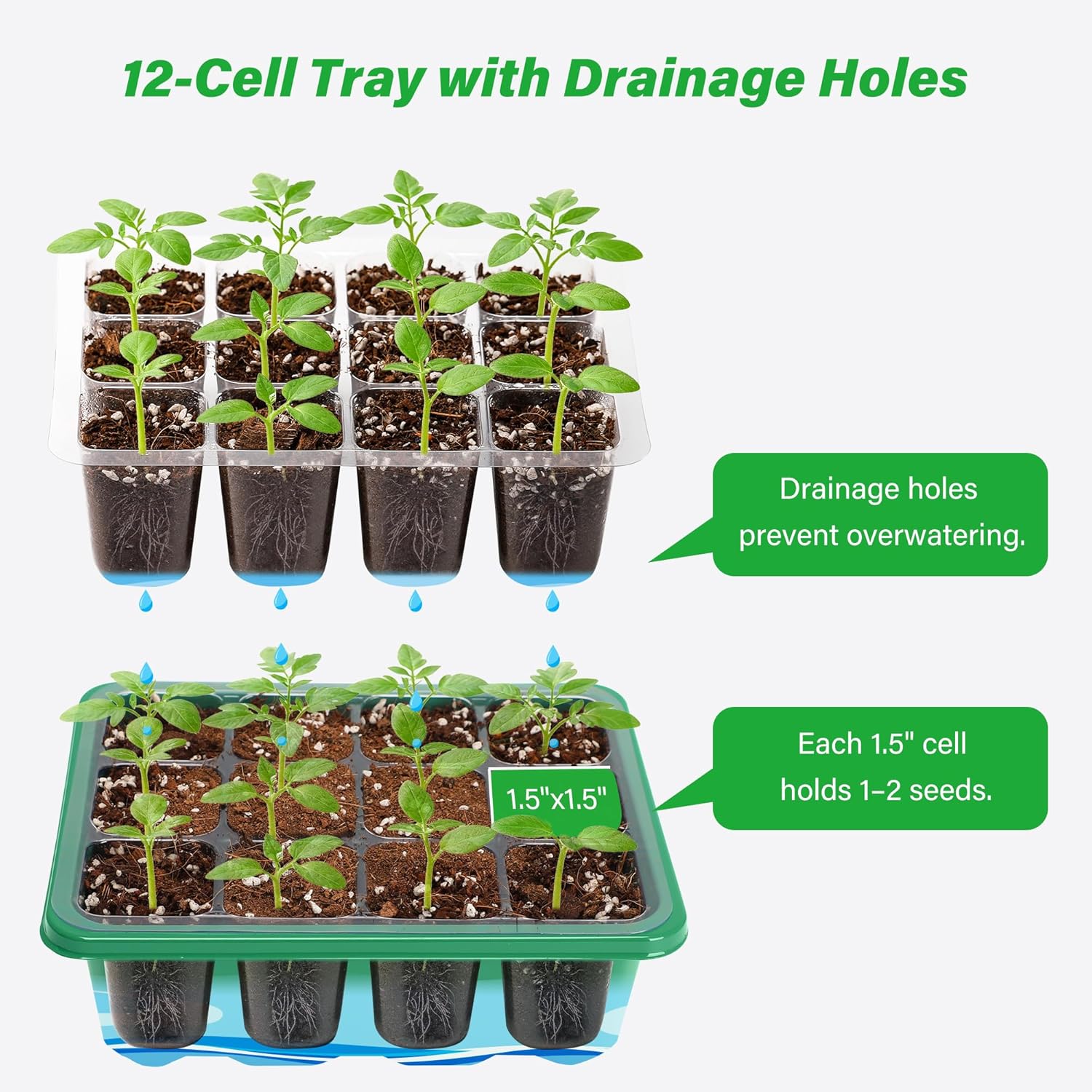 ชุดเริ่มต้นเพาะเมล็ดพร้อมโดมคว - Propagation Tray Dome บทวิจารณ์และราคา