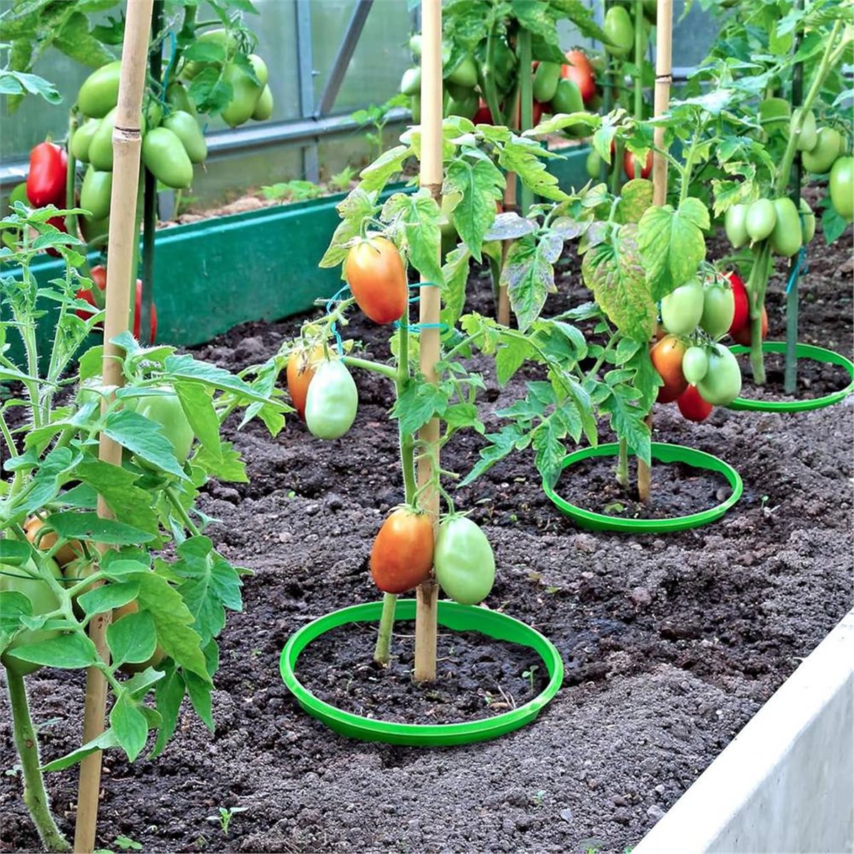 【COUNTDOWN DEAL】 แหวนป้องกันต้ - Gardening Tools Deals บทวิจารณ์และราคา