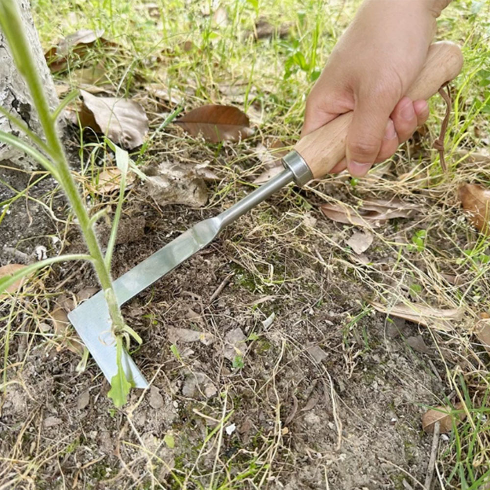 เครื่องมือกำจัดวัชพืชแบบสแตนเล - Gardening Tools Used บทวิจารณ์และราคา