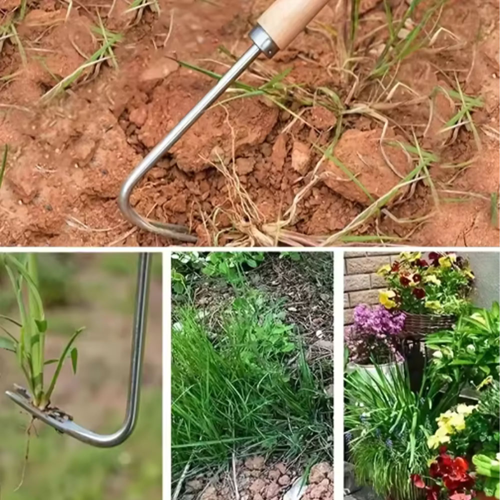 เครื่องมือกำจัดวัชพืชแบบสแตนเล - Gardening Tools Used บทวิจารณ์และราคา