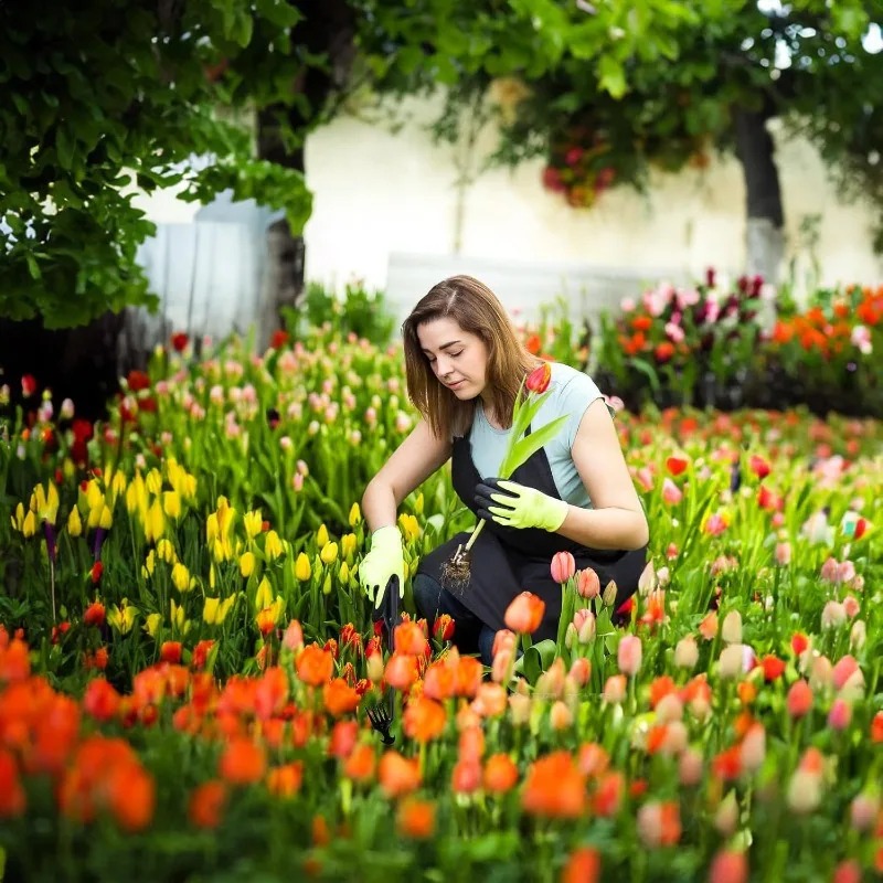เครื่องมือทำสวน 2-in-1 แบบใช้ม - Gardening Tools Hand บทวิจารณ์และราคา