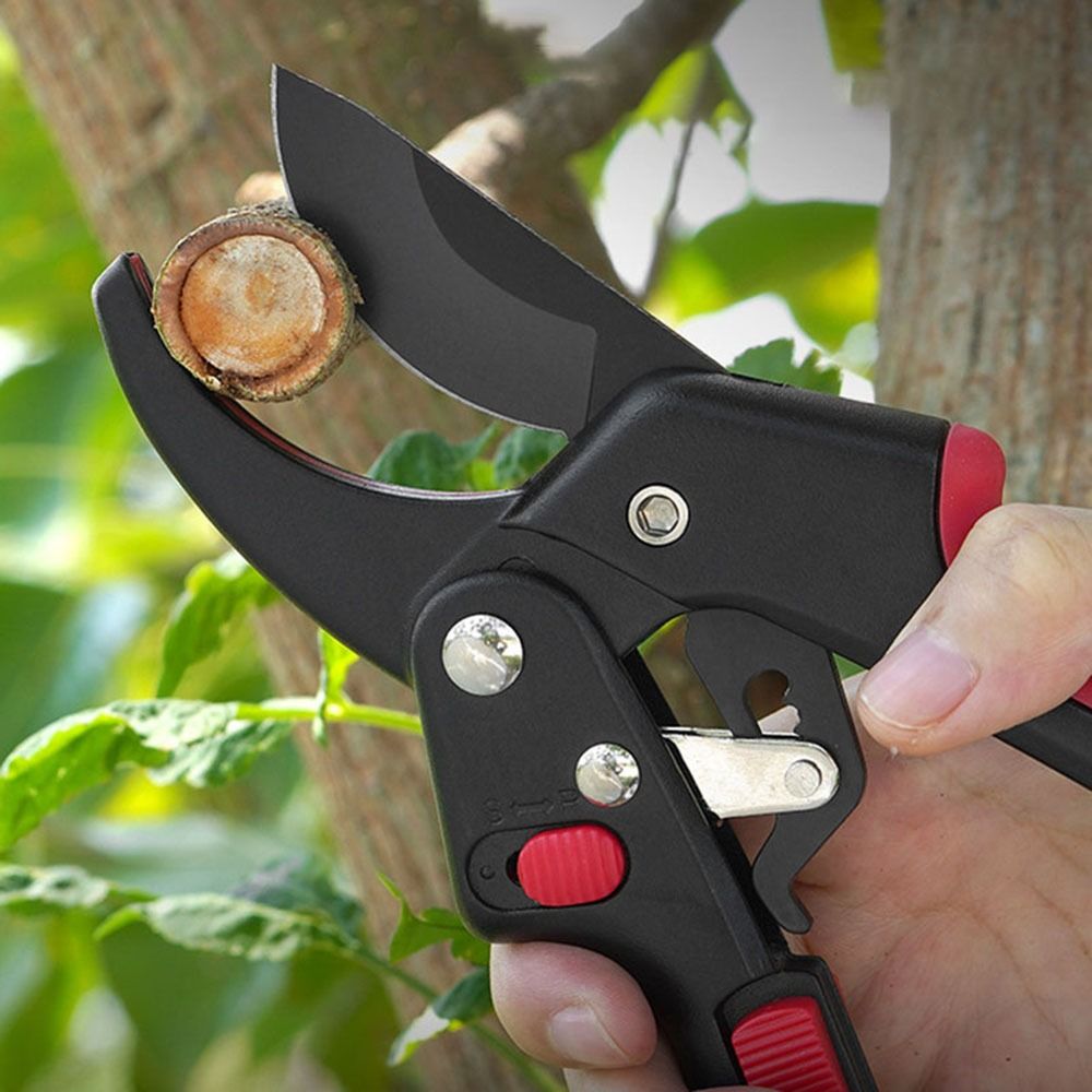 กรรไกรตัดแต่งกิ่งแบบปรับได้ ใช - Gardening Tools Japanese บทวิจารณ์และราคา