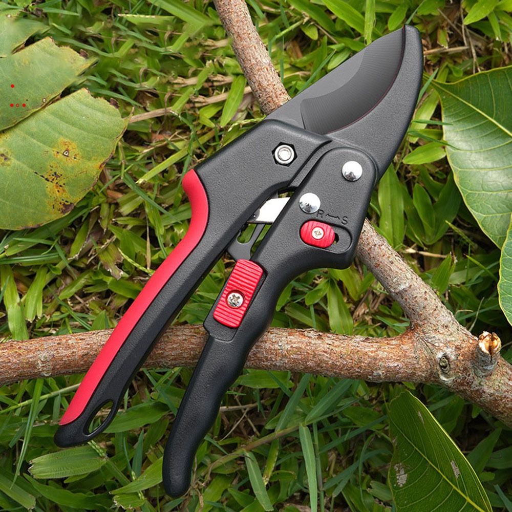 กรรไกรตัดแต่งกิ่งแบบปรับได้ ใช - Gardening Tools Japanese บทวิจารณ์และราคา