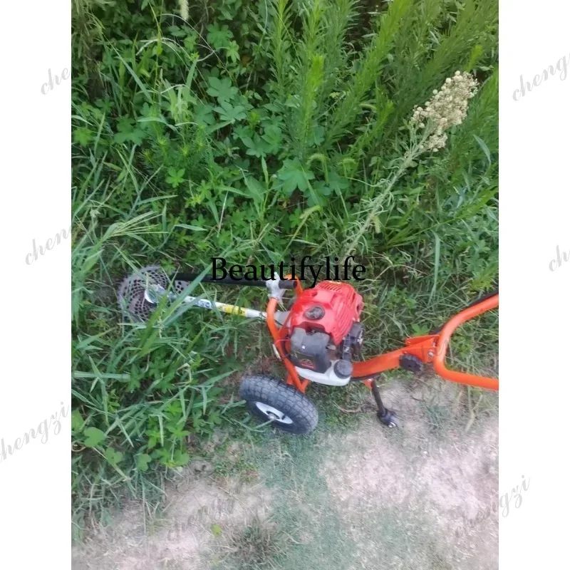 เครื่องตัดหญ้าแบบเข็น รุ่น L17 - Gardening Tools Hand บทวิจารณ์และราคา