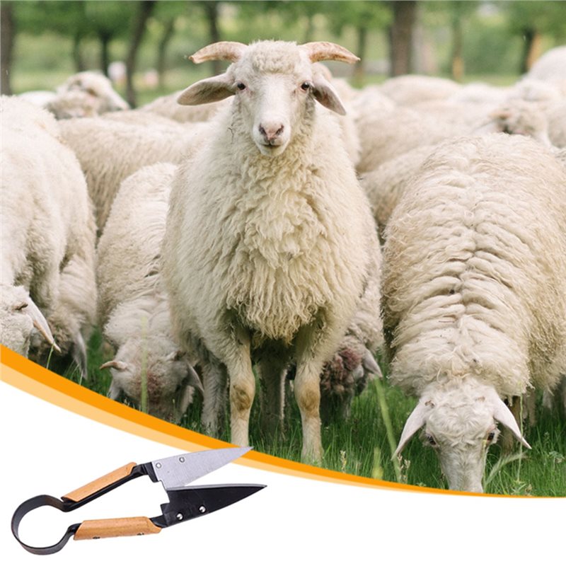 【FLASH DEAL】กรรไกรตัดแต่งกิ่งไ - Gardening Tools Deals บทวิจารณ์และราคา
