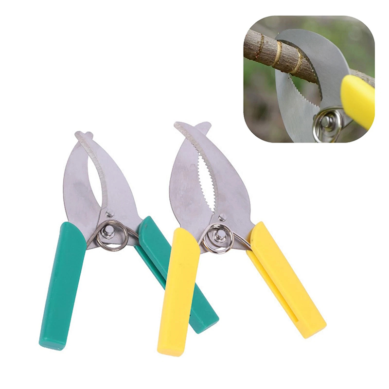 กรรไกรตัดกิ่งแบบวงแหวน เครื่อง - Gardening Tools Japanese บทวิจารณ์และราคา