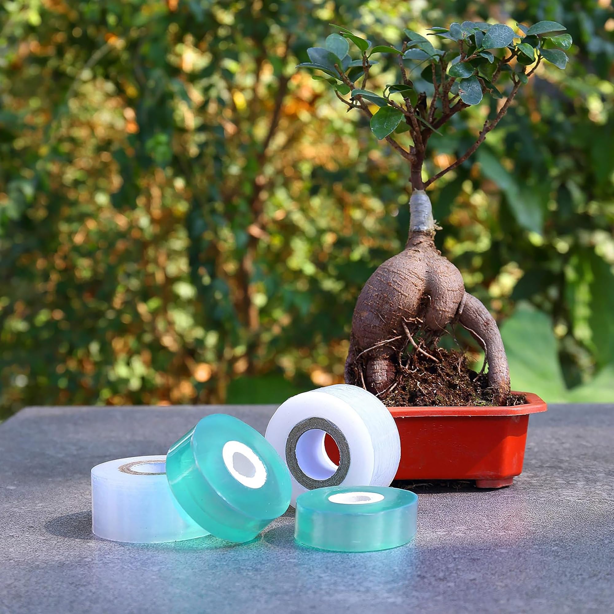 เทปพันกิ่งต้นไม้แบบย่อยสลายได้ - Gardening Tools Uses บทวิจารณ์และราคา