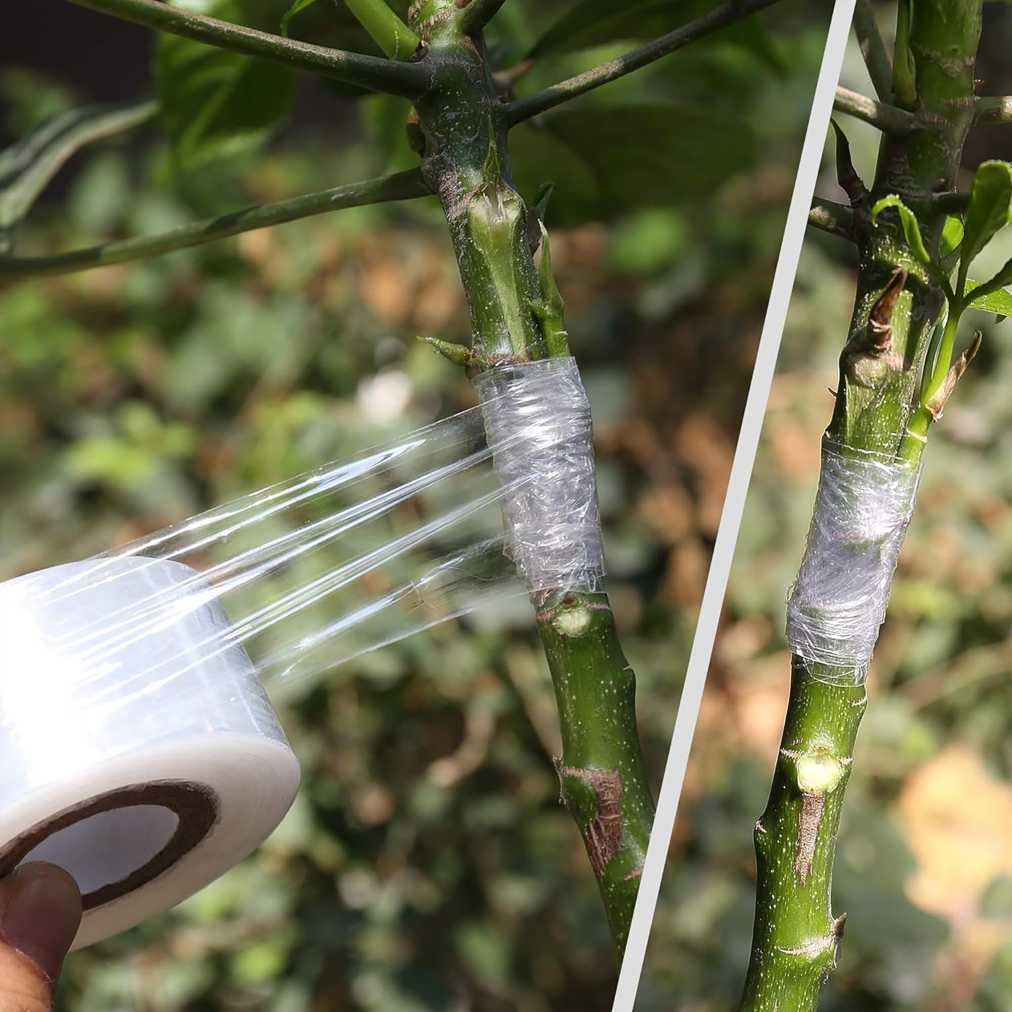 เทปพันกิ่งต้นไม้แบบย่อยสลายได้ - Gardening Tools Uses บทวิจารณ์และราคา