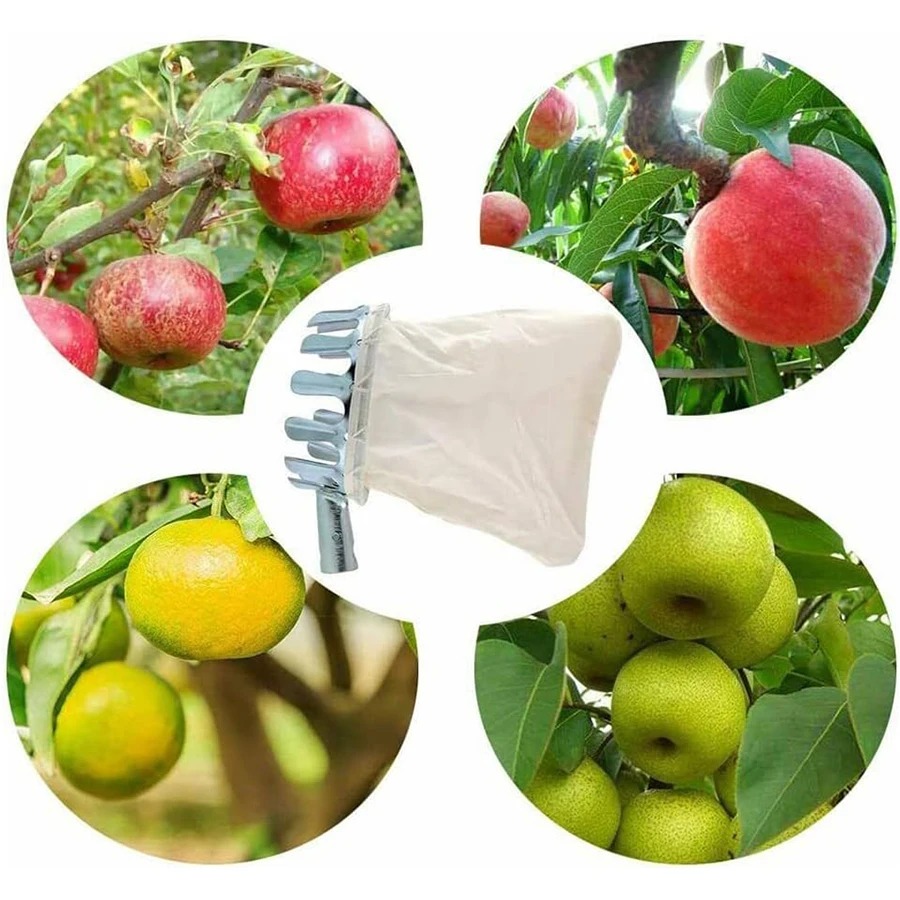 ชุดเครื่องมือเก็บผลไม้ 3-in-1  - Gardening Tools Gifts บทวิจารณ์และราคา