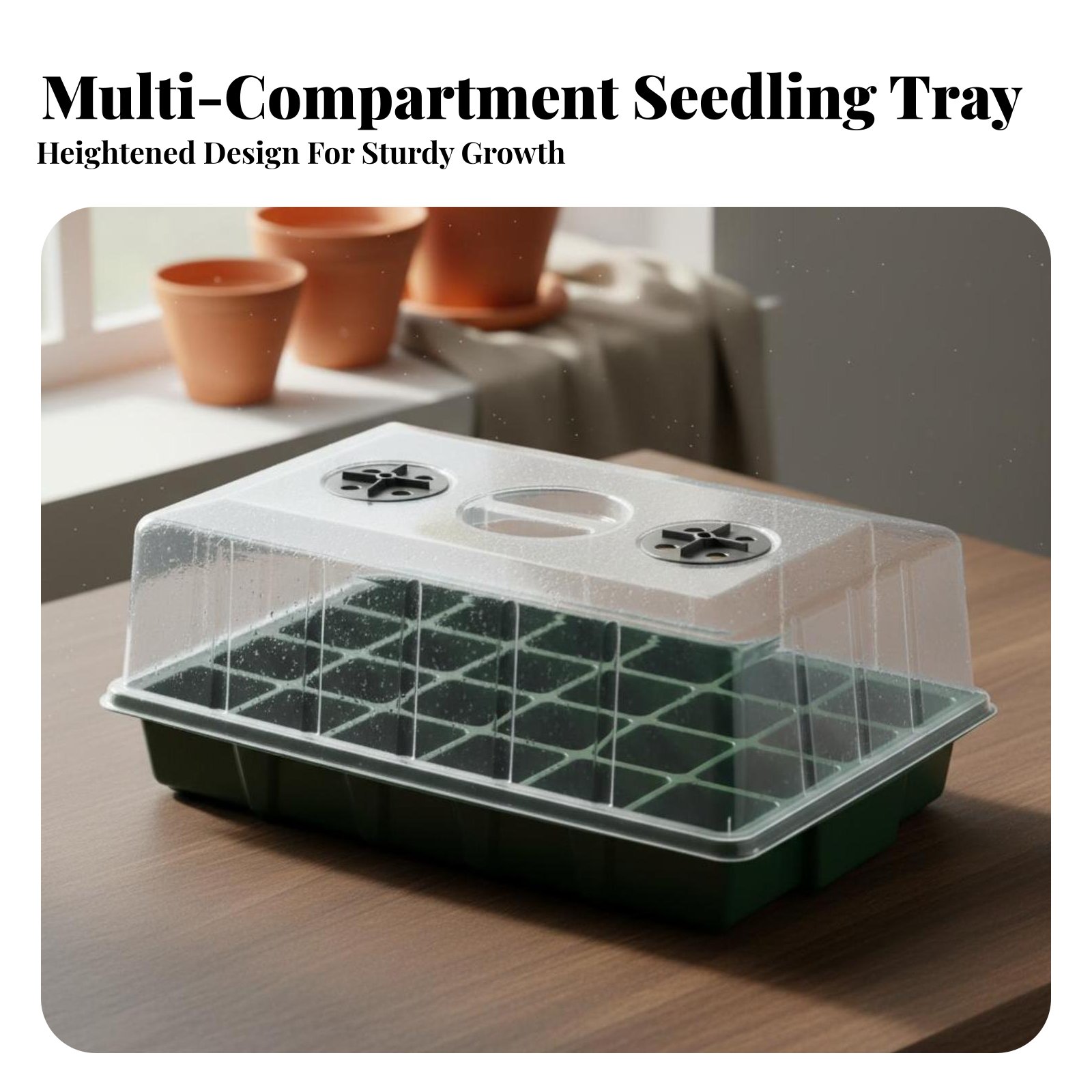 ถาดเพาะชำ 24 ช่อง ฝาใส ถาดเพาะ - Propagation Tray Dome บทวิจารณ์และราคา