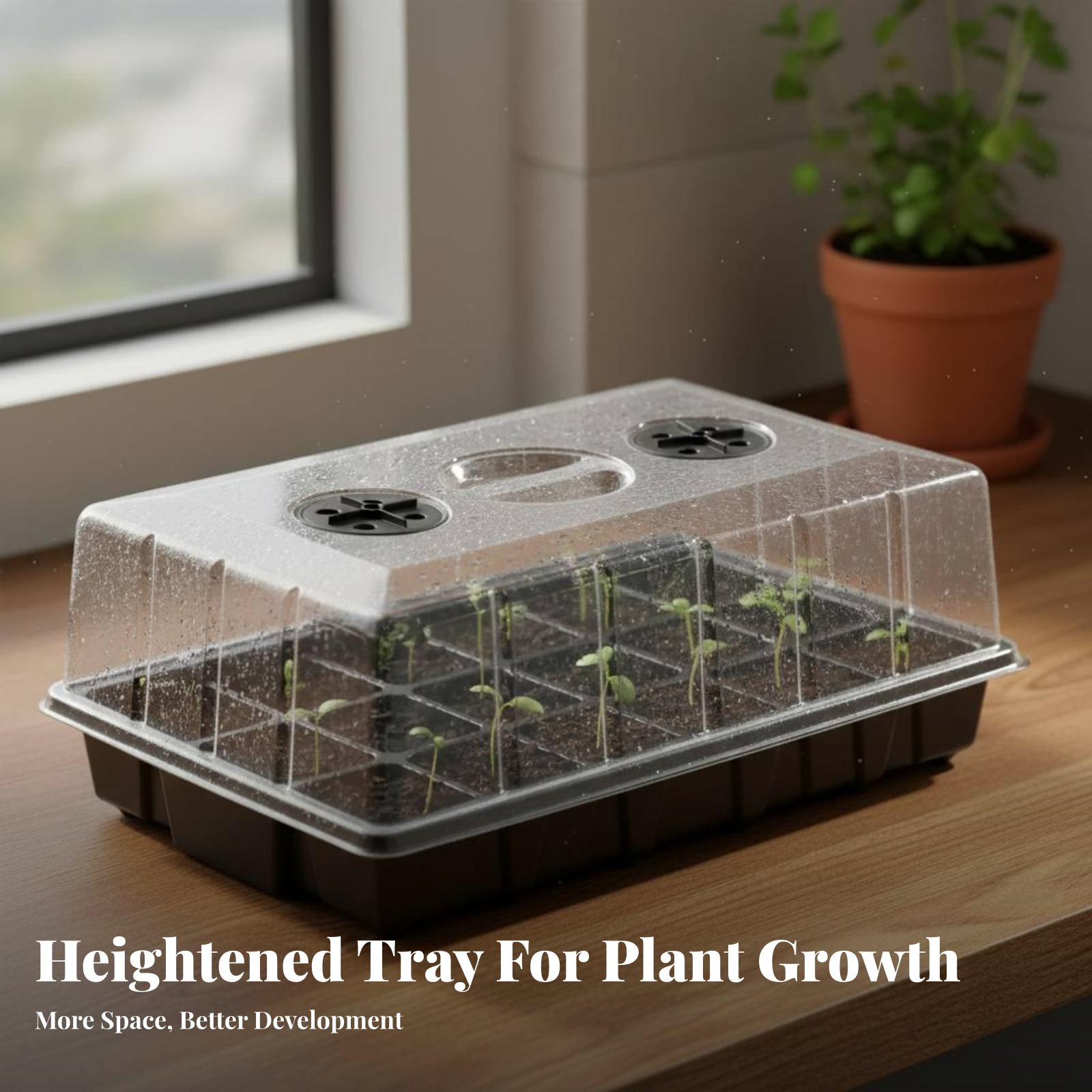 ถาดเพาะชำ 24 ช่อง ฝาใส ถาดเพาะ - Propagation Tray Dome บทวิจารณ์และราคา