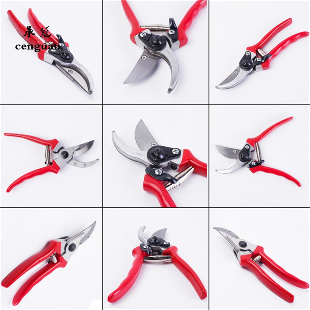 กรรไกรตัดแต่งกิ่งคุณภาพพรีเมีย - Gardening Tools Quality บทวิจารณ์และราคา