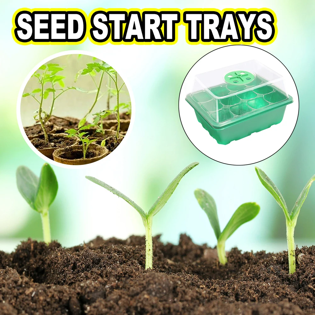 ถาดเพาะเมล็ดขนาดเล็ก12รูถาดเพา - Propagation Tray Dome บทวิจารณ์และราคา