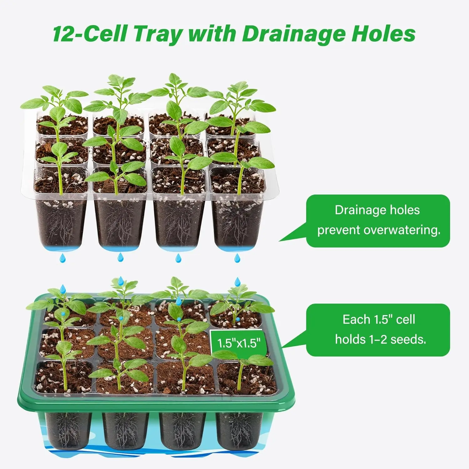 ถาดเพาะเมล็ดแบบ 6/12 ช่อง พร้อ - Propagation Tray Dome บทวิจารณ์และราคา