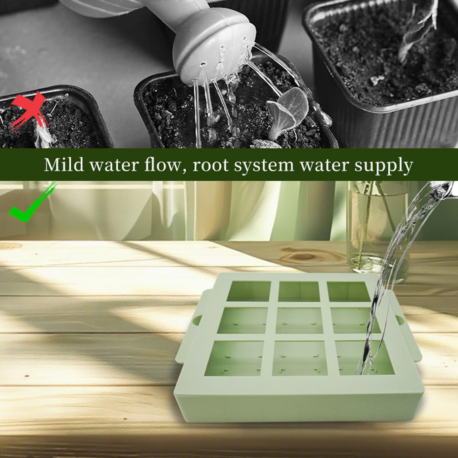 ถาดเพาะต้นกล้าแบบใช้ซ้ำได้ ชุด - Propagation Tray Dome บทวิจารณ์และราคา