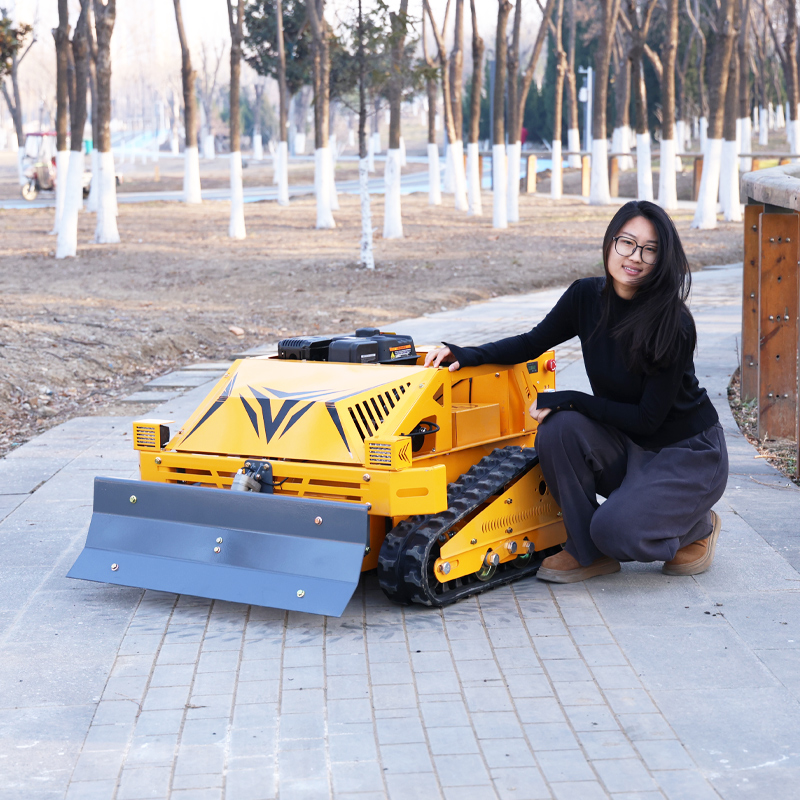 เครื่องตัดหญ้าแบบมืออาชีพควบคุ - Gardening Tools For Weeds บทวิจารณ์และราคา