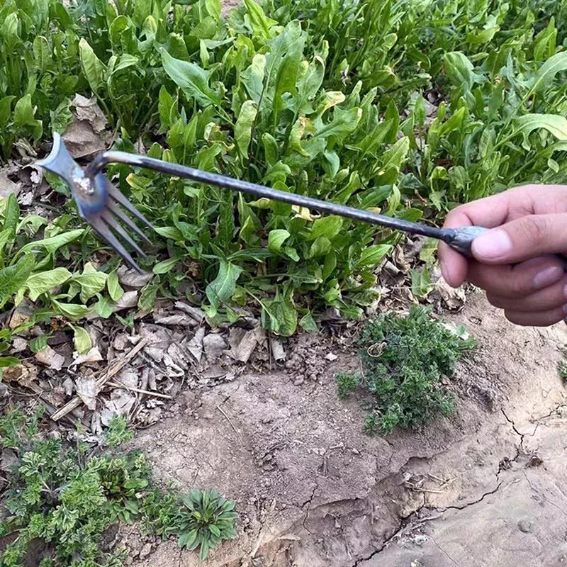 เครื่องกำจัดวัชพืชในสวน, เครื่ - Gardening Tools For Weeds บทวิจารณ์และราคา
