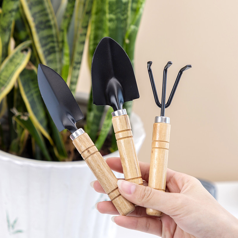 3 ชิ้น/1 ชุด เครื่องมือทำสวนขน - Gardening Tools For Weeds บทวิจารณ์และราคา