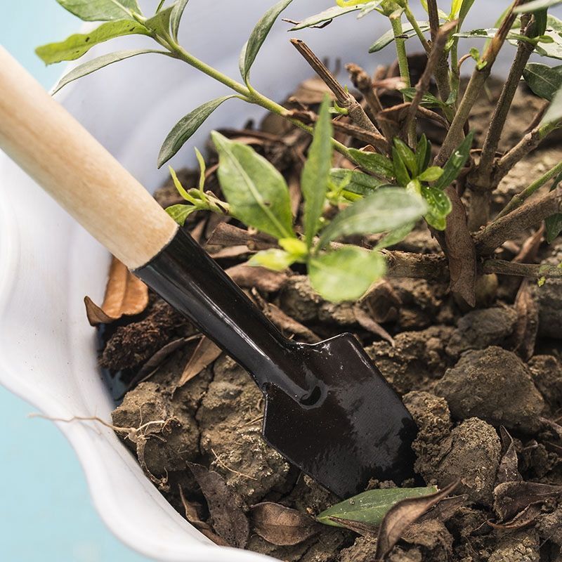 3 ชิ้น/1 ชุด เครื่องมือทำสวนขน - Gardening Tools For Weeds บทวิจารณ์และราคา