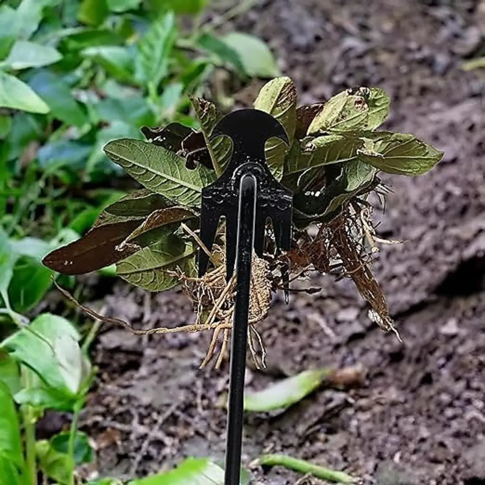 4 ฟัน - มัลติฟังก์ชั่นมือ Weed - Gardening Tools For Weeds บทวิจารณ์และราคา