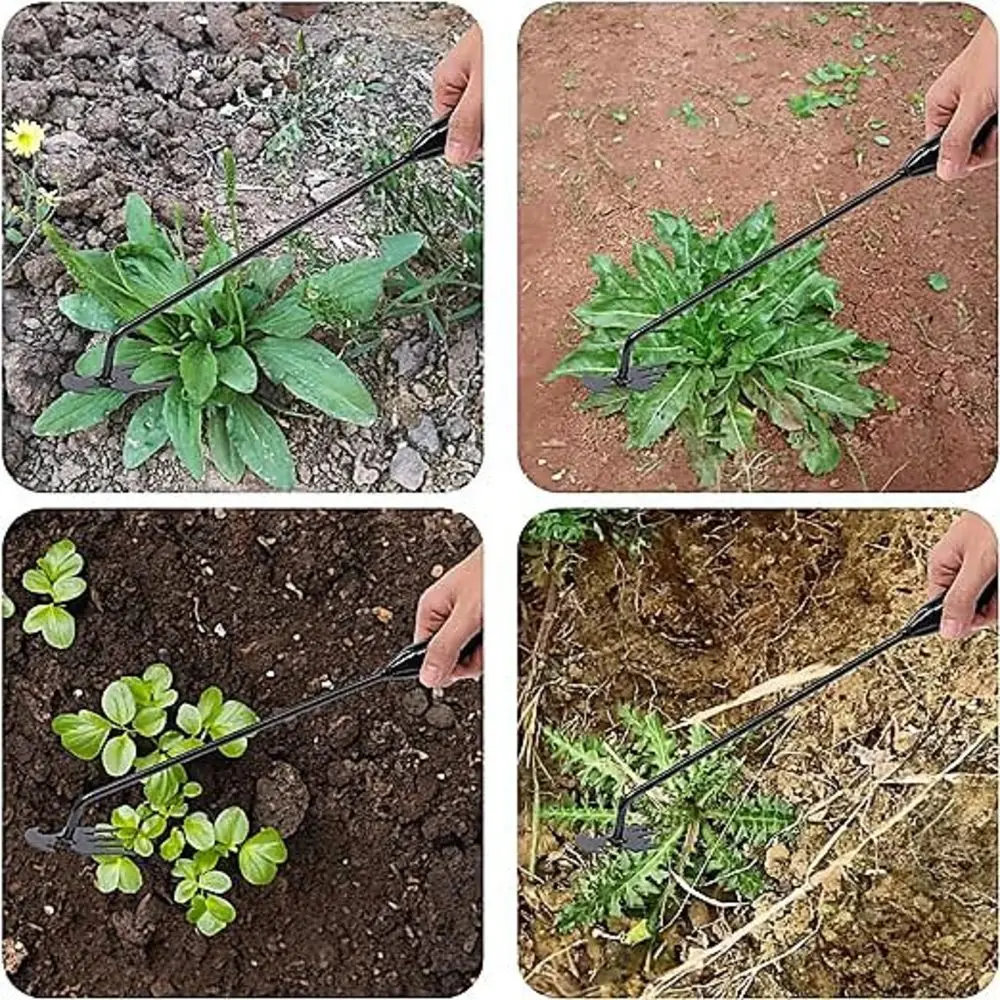 4 ฟัน - มัลติฟังก์ชั่นมือ Weed - Gardening Tools For Weeds บทวิจารณ์และราคา