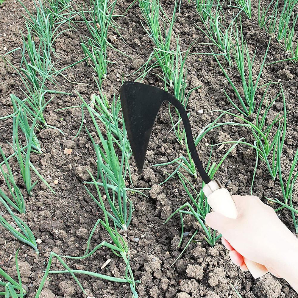 จอบเครื่องมือการเกษตรทรงสามเหล - Gardening Tools For Weeds บทวิจารณ์และราคา