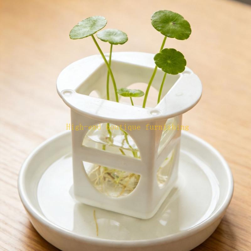 L9NB 12pack ถาดขยายพันธุ์ต้นกล - Propagation Tray Dome บทวิจารณ์และราคา