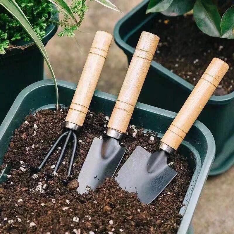 ชุดเครื่องมือทำสวนขนาดเล็ก 3 ช - Gardening Tools Gifts บทวิจารณ์และราคา