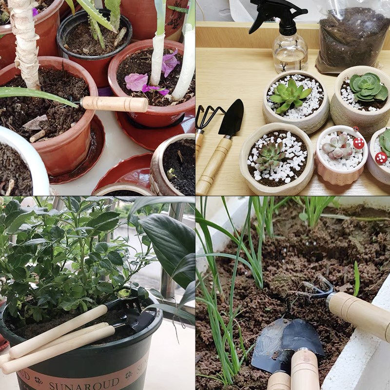 ชุดเครื่องมือทำสวนขนาดเล็ก 3 ช - Gardening Tools Gifts บทวิจารณ์และราคา