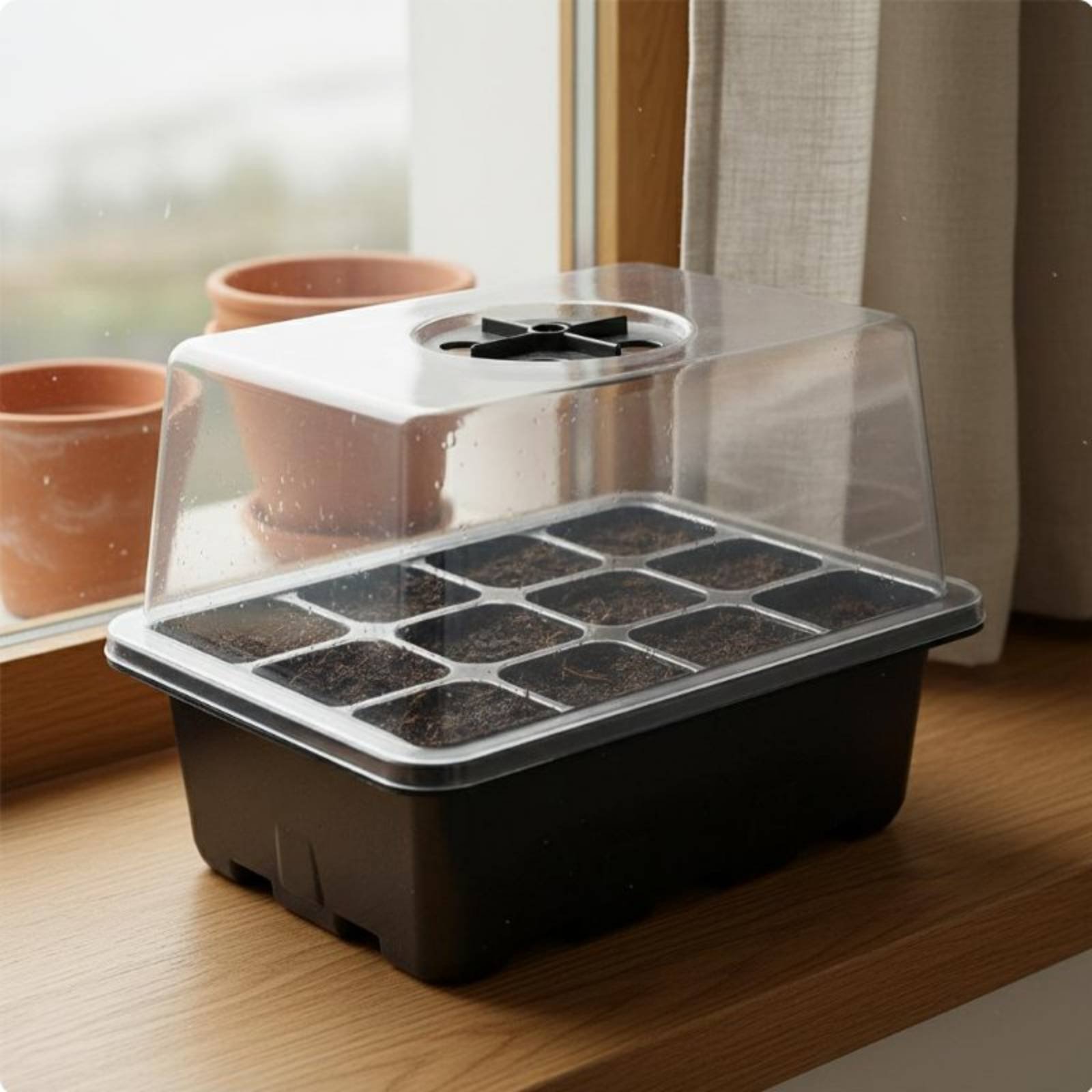 ถาดเพาะเมล็ด 12 ช่อง ฝาใส ถาดเ - Propagation Tray Dome บทวิจารณ์และราคา