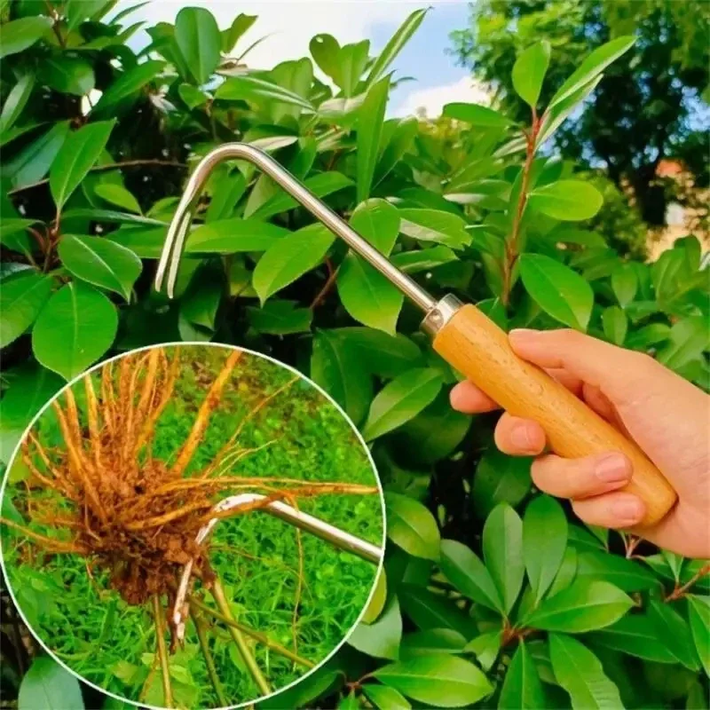 สแตนเลสสวน Weeder คู่มือการกํา - Gardening Tools Japanese บทวิจารณ์และราคา