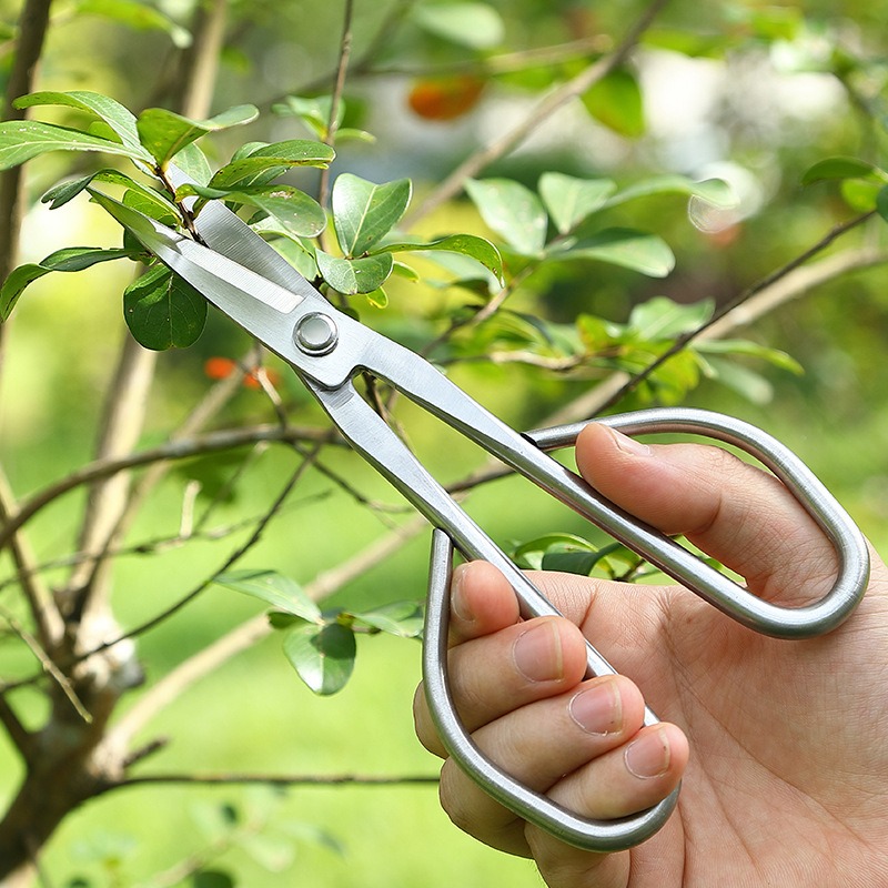 กรรไกรตัดกิ่งไม้เล็ก อุปกรณ์ทำ - Gardening Tools Japanese บทวิจารณ์และราคา