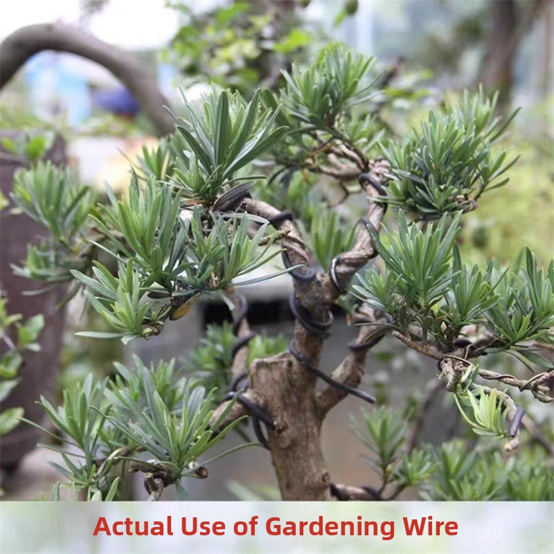 ลวดบอนไซอะลูมิเนียมขนาด 1.5 มม - Gardening Tools Uses บทวิจารณ์และราคา