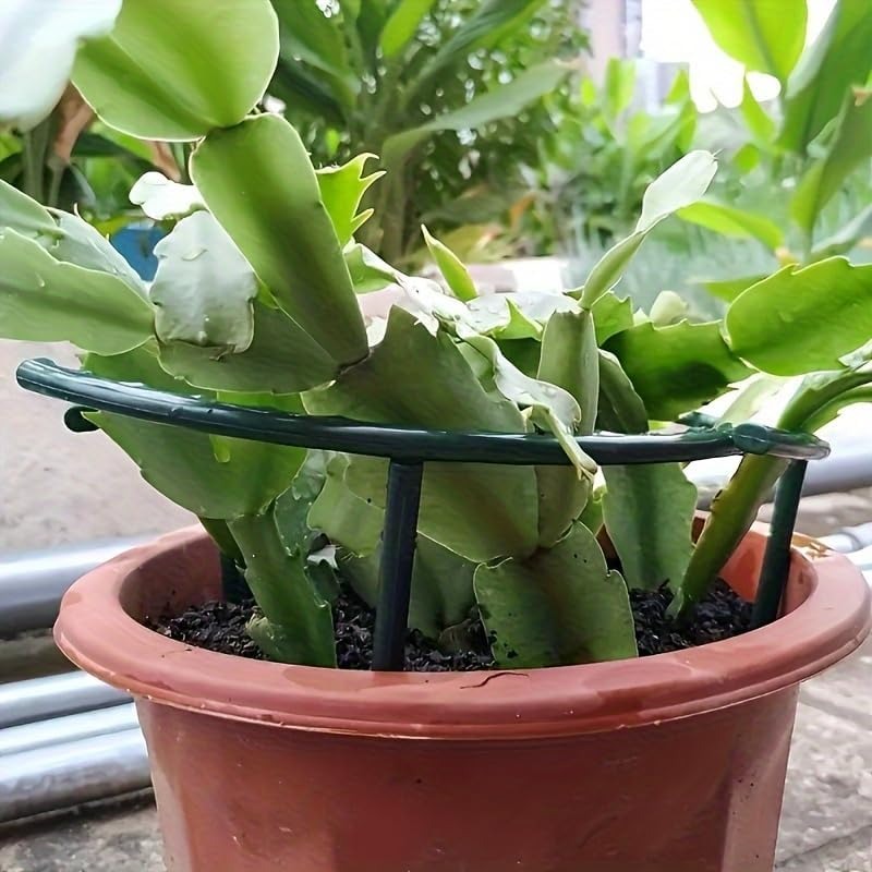 เสาค้ำต้นไม้พลาสติกแบบครึ่งวงก - Gardening Tools Gifts บทวิจารณ์และราคา
