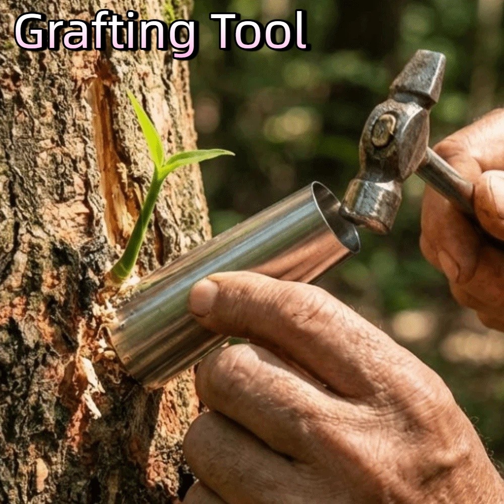 ชุดเครื่องมือต่อกิ่งสแตนเลส 5  - Gardening Tools Japanese บทวิจารณ์และราคา