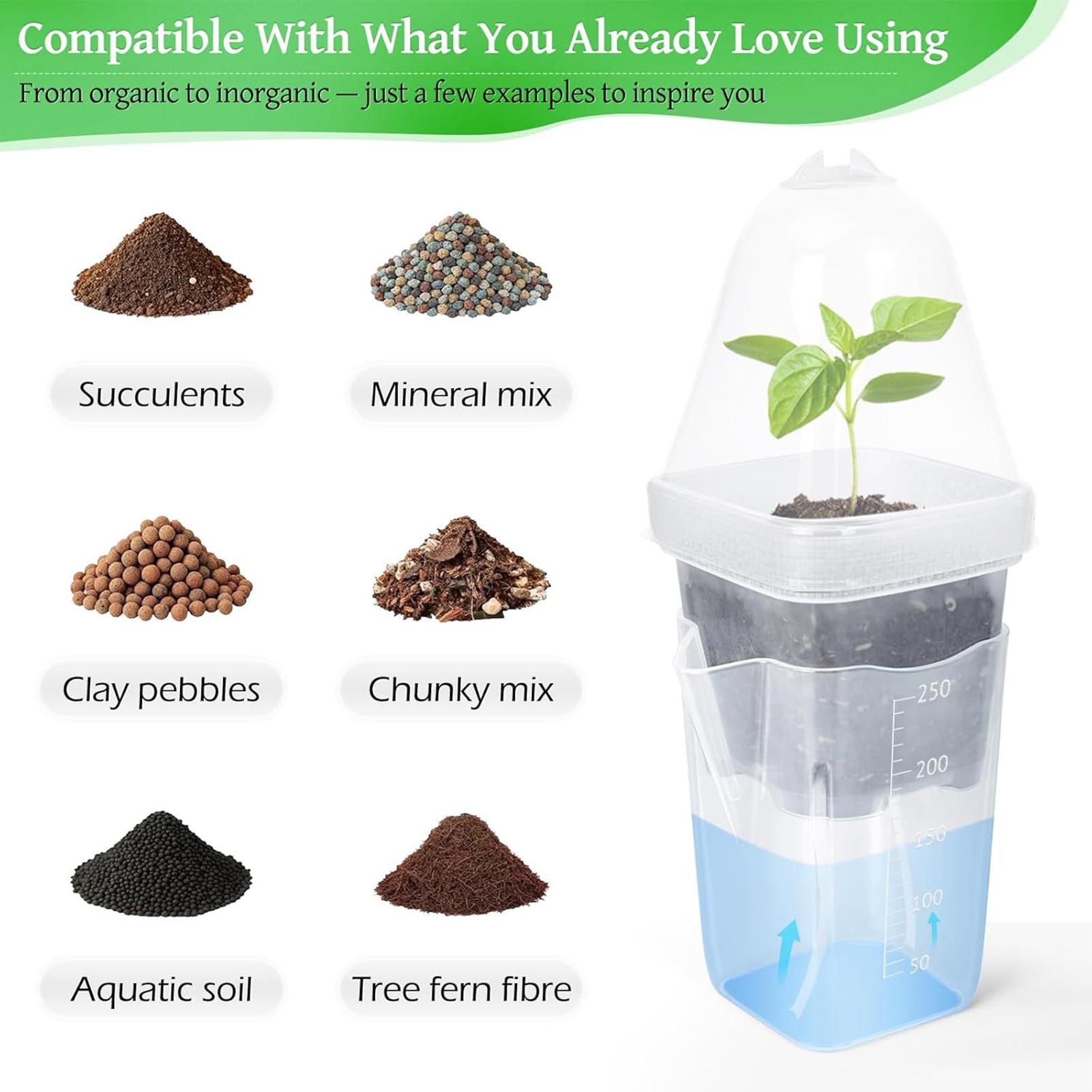กระถางปลูกต้นไม้แบบรดน้ำเองได้ - Propagation Tray Dome บทวิจารณ์และราคา