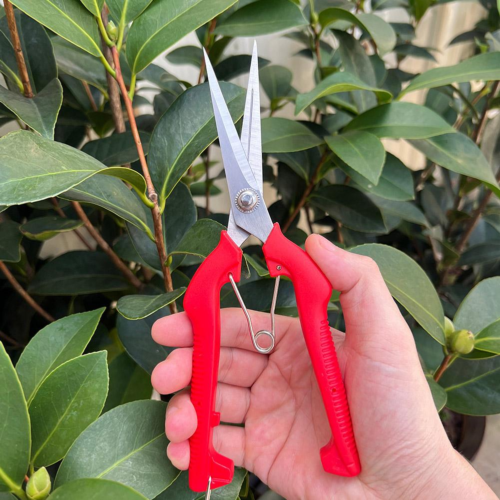 กรรไกรตัดแต่งกิ่ง Pro Garden แ - Gardening Tools Hand บทวิจารณ์และราคา