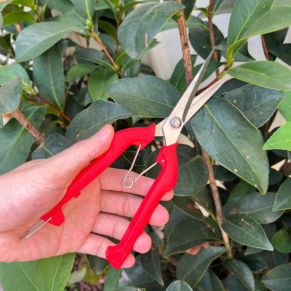 กรรไกรตัดแต่งกิ่ง Pro Garden แ - Gardening Tools Hand บทวิจารณ์และราคา