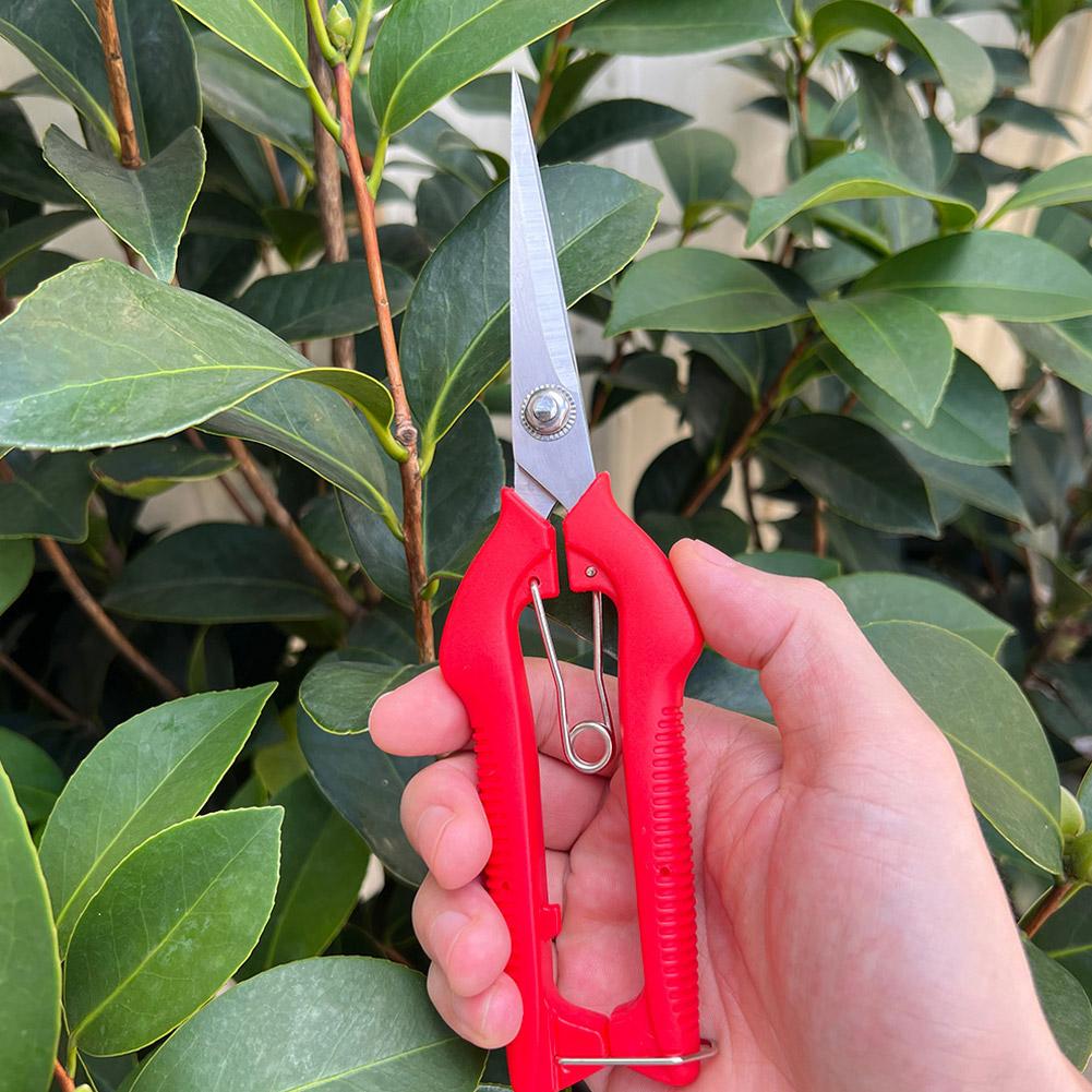 กรรไกรตัดแต่งกิ่ง Pro Garden แ - Gardening Tools Hand บทวิจารณ์และราคา
