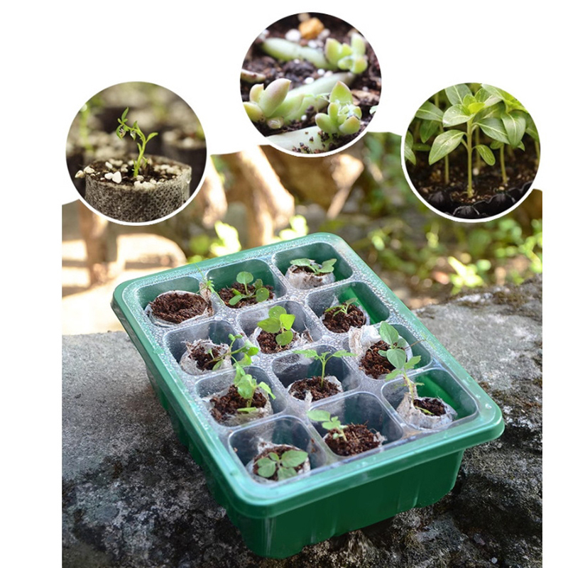 ถาดเพาะเมล็ดแบบมีฝาครอบเพิ่มคว - Propagation Tray Dome บทวิจารณ์และราคา