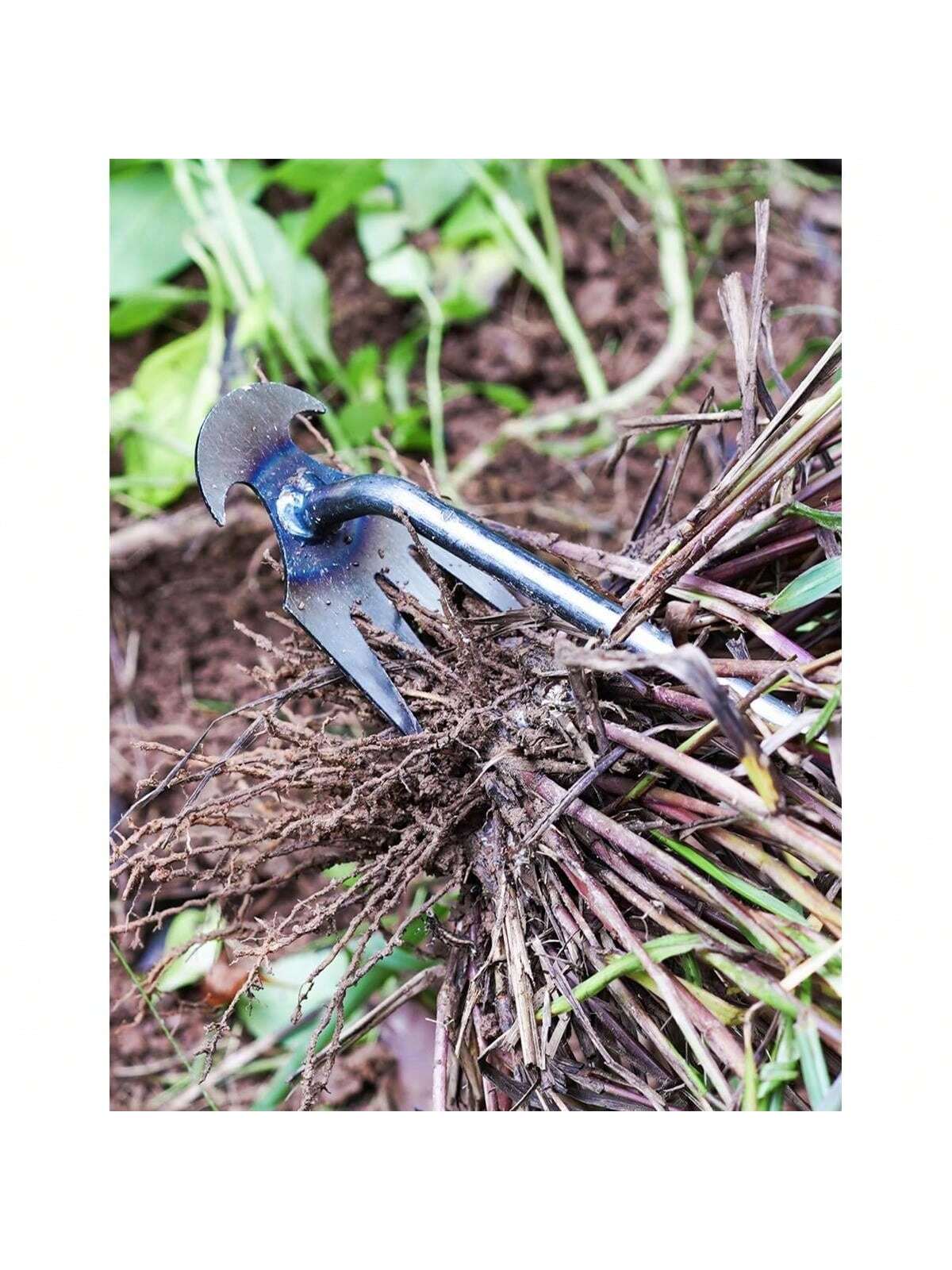 4 ฟัน - มัลติฟังก์ชั่นมือ Weed - Gardening Tools For Weeds บทวิจารณ์และราคา
