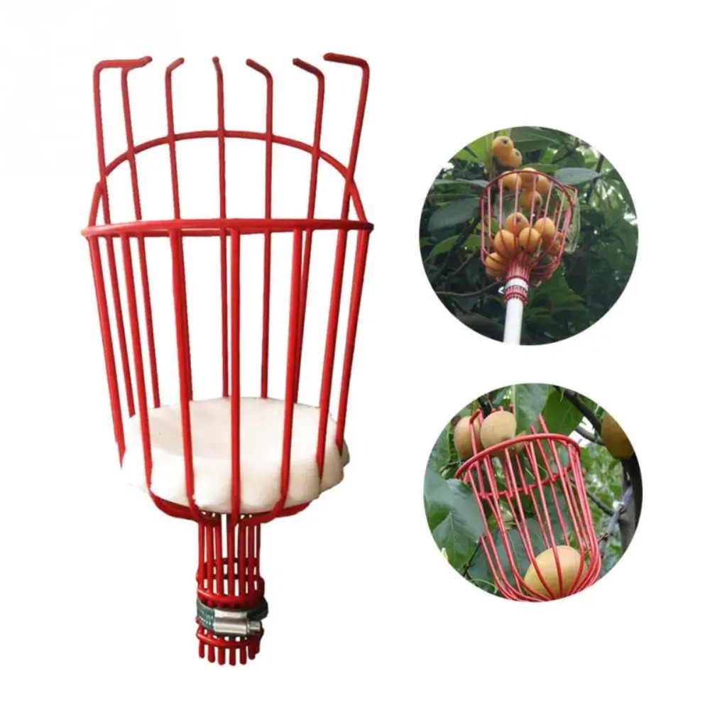 หัวเก็บผลไม้โลหะ/พลาสติก ไม่มี - Gardening Tools Hand บทวิจารณ์และราคา