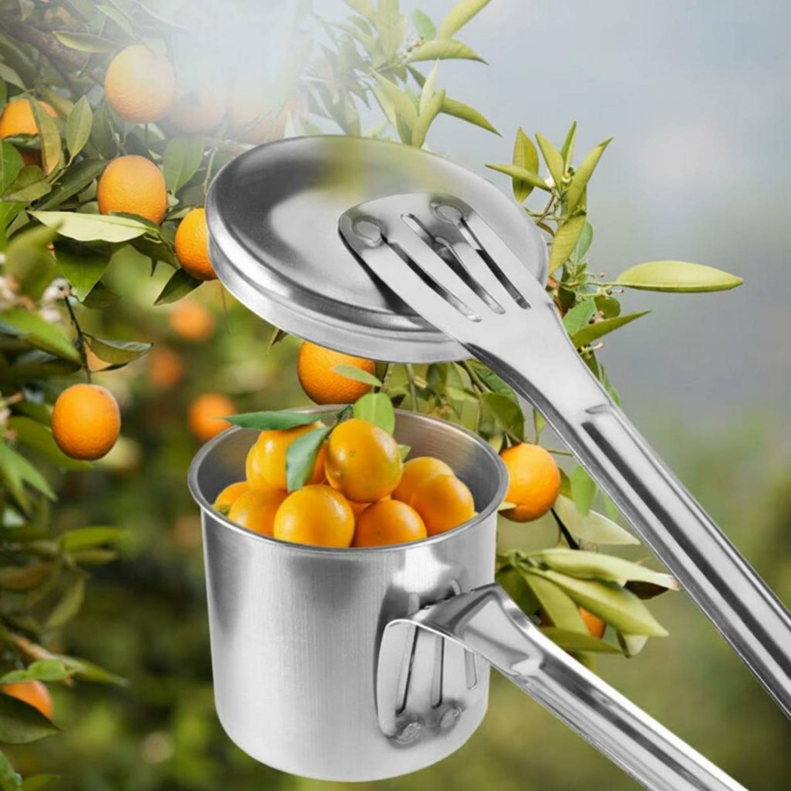 ที่เก็บผลไม้แบบถ้วย สแตนเลส เค - Gardening Tools Uses บทวิจารณ์และราคา