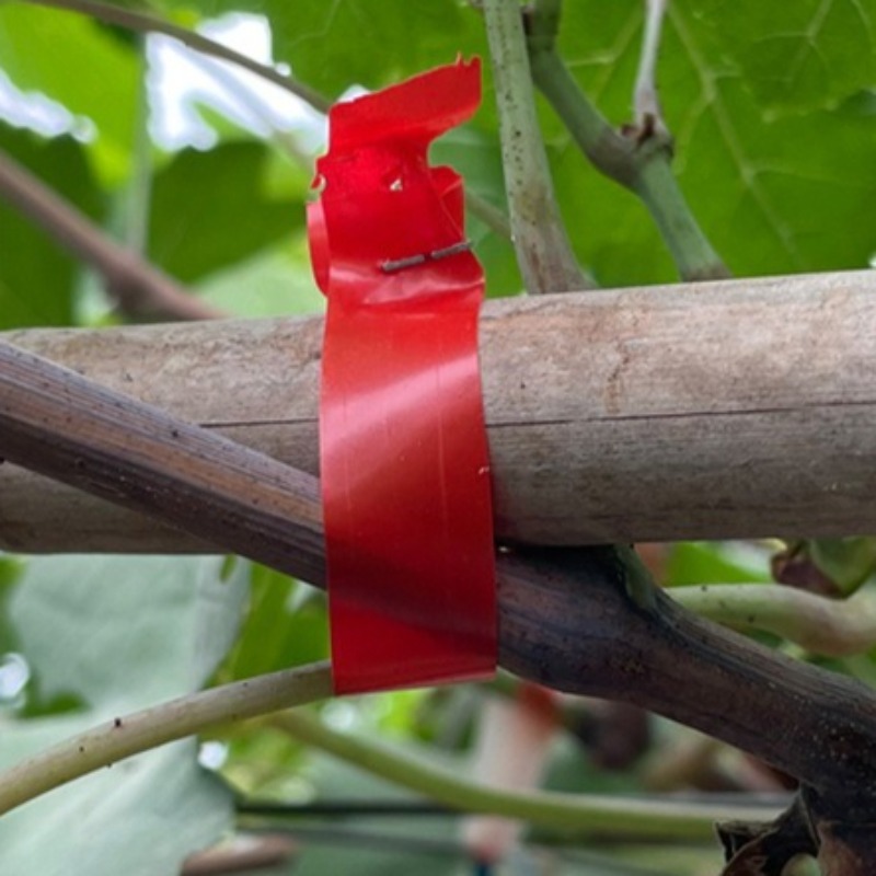 เครื่องมัดกิ่งองุ่น เครื่องมัด - Gardening Tools Hand บทวิจารณ์และราคา