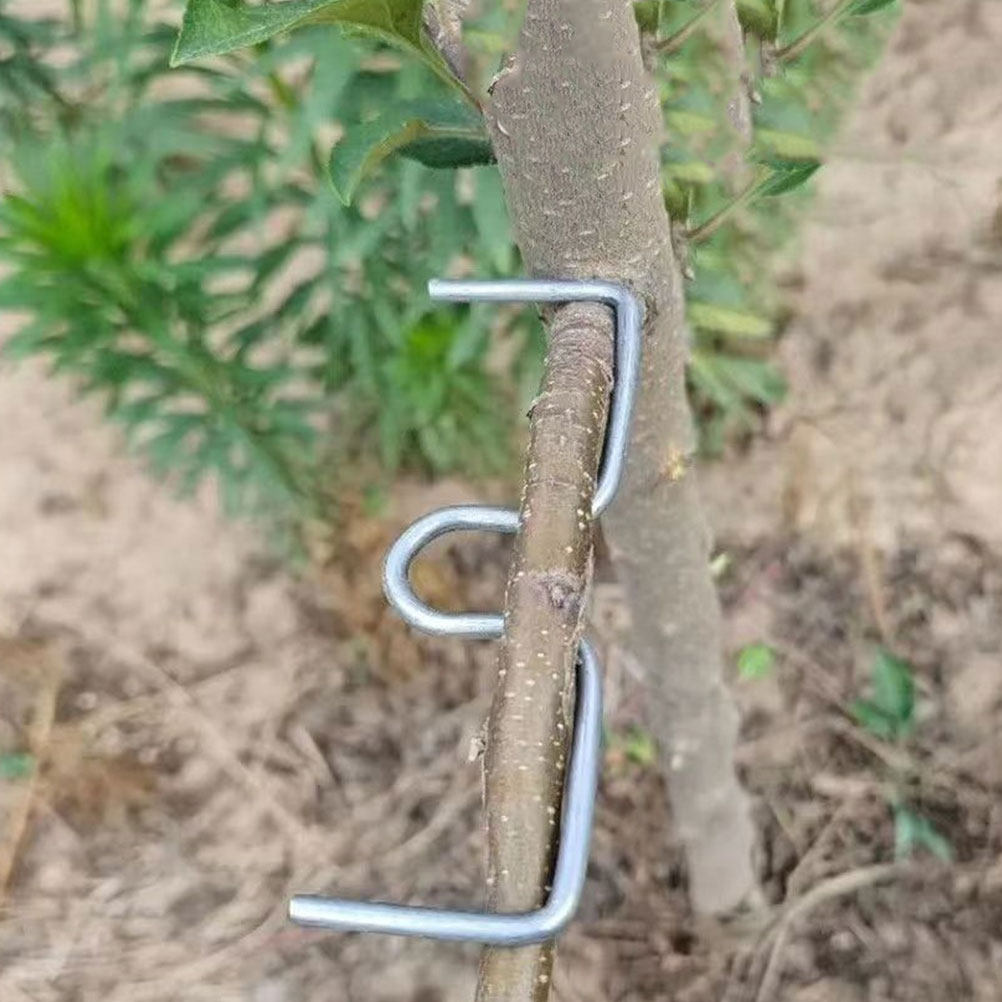 เครื่องมือดึงกิ่งไม้ผล 20 ชิ้น - Gardening Tools Uses บทวิจารณ์และราคา
