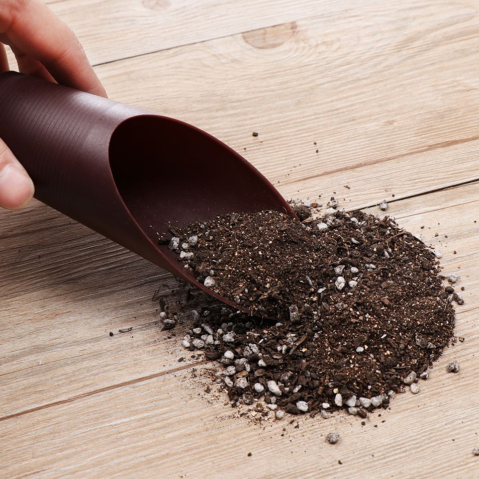 ถ้วยพลั่วดินพลาสติก1ชิ้นสำหรับ - Gardening Tools Gifts บทวิจารณ์และราคา